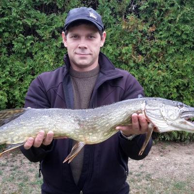 2015 / Marco Fuhrmann / Waldnaab / Hecht / 86 cm / 7 Pfund 