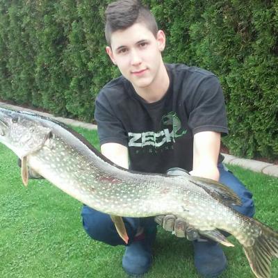  2017 / Max Hahn / Waldnaab / Hecht / 87 cm / 8 Pfund